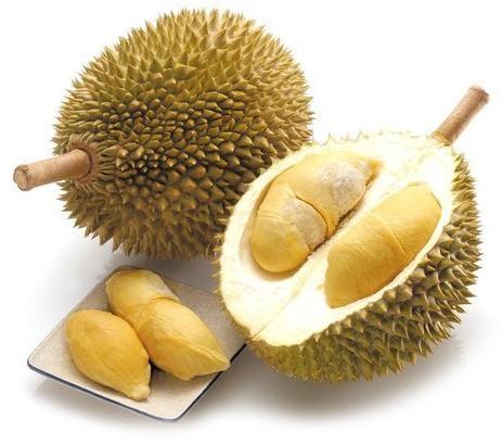 Natural Fresh Durian Fruit, Packaging Type : Jute Bag