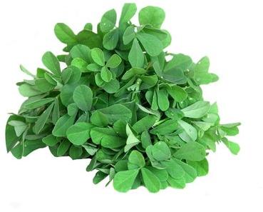 Natural Fresh Fenugreek Leaf, for Good Nutritions, Good Health, Packaging Type : Jute Bag