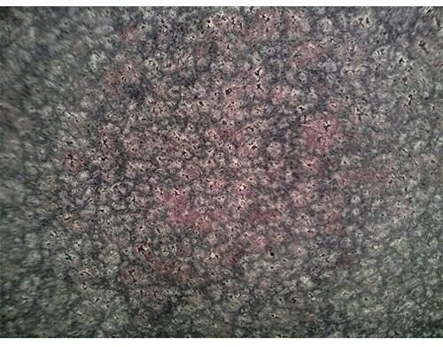 Bala Flower Granite Slab