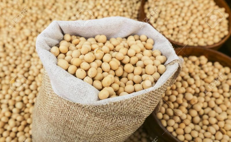Soya Seed Certification Fssai Certified 90012008 Packaging Size 50kg At Rs 7500