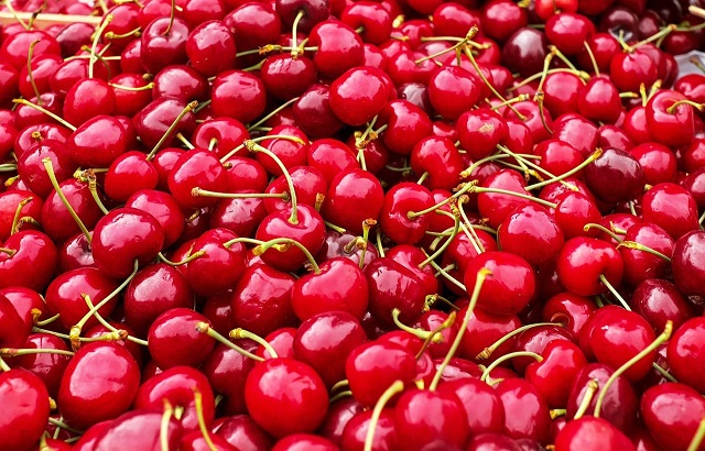 Organic Fresh Cherry, for Human Consumption, Packaging Type : Jute Bag