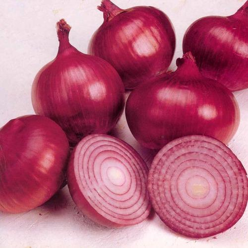 Natural fresh onion