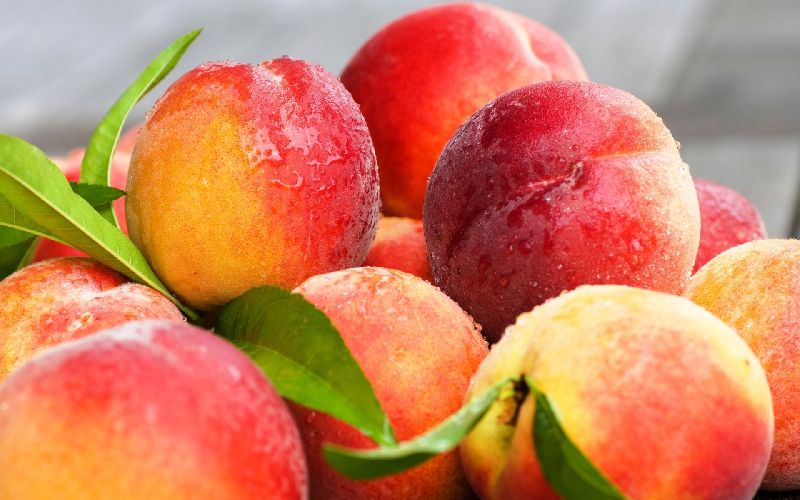Organic Fresh Peach, for Human Consumption, Certification : FSSAI Certified