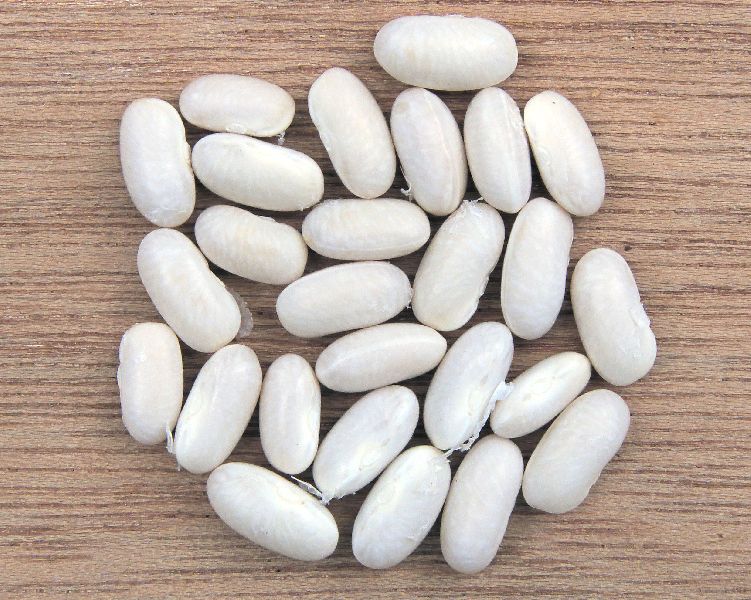 Navy Beans, Size : 0.52 inch