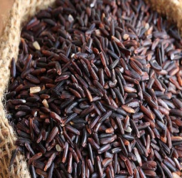 Rajnandini Organic Natural black rice, for Cooking, Food, Certification : FSSAI Certified