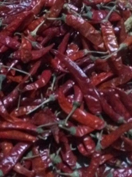 Armour Natural red chilli