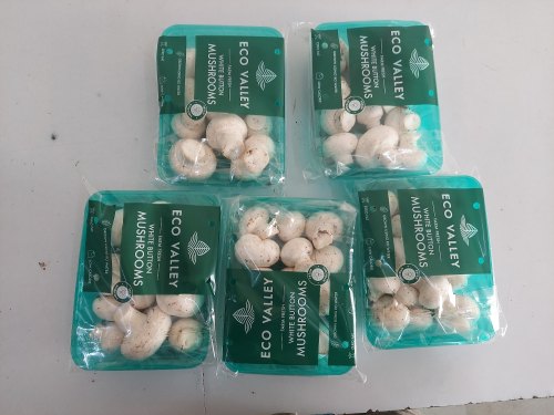 Natural Fresh Mushroom, for Human Consumption, Cooking, Home, Hotels, Packaging Type : Plastic Packet
