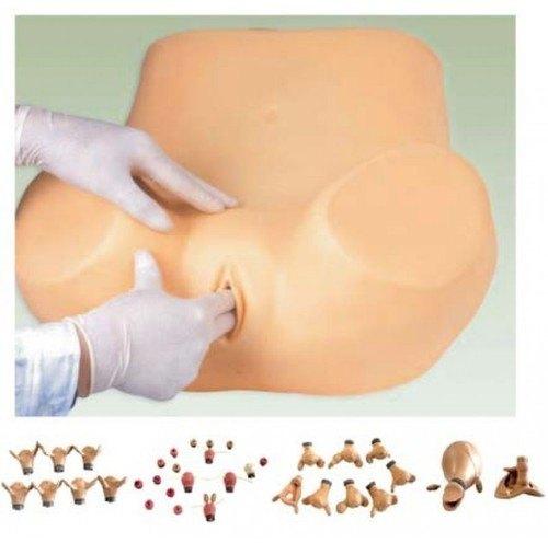 PVC Gynecological Training Models, Color : Natural Color