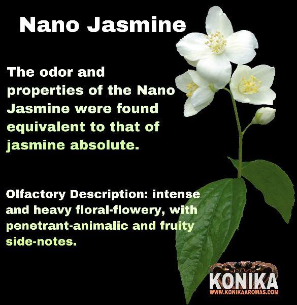 Nano Jasmine