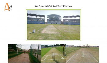 Cricket Turf Pitch Construction