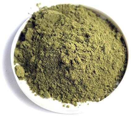 Graviola Leaf Extract, for Medicinal purposes, Form : Powder