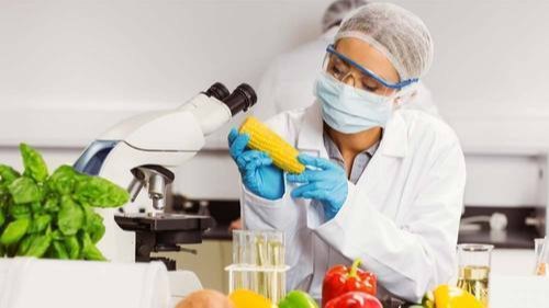 Pesticide Analysis Services