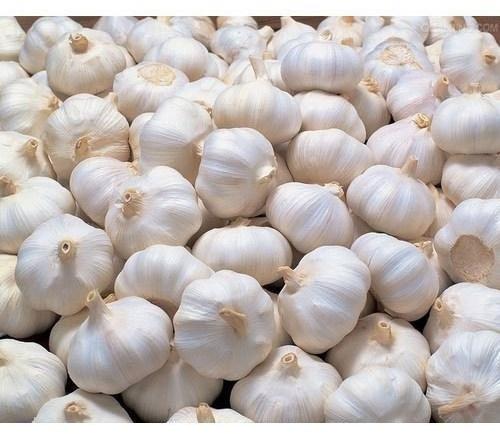 Organic fresh garlic, Packaging Type : Net Bags, Plastic Bags