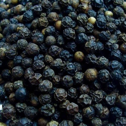 Bold Natural black pepper, for Cooking, Spices, Food Medicine, Packaging Type : Gunney Bag, Jute Bag