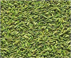 Raw Natural Fennel Seeds, for Cooking, Spices, Food Medicine, Packaging Type : Jute Bag