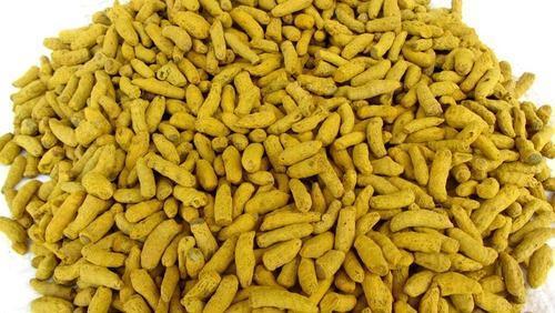 Natural turmeric finger, for Cooking, Spices, Food Medicine, Cosmetics, Packaging Type : Plastic Pouch