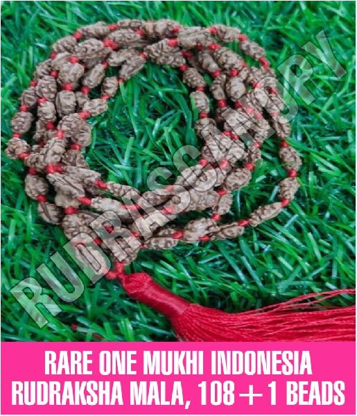 Rare One Mukhi Indonesia Rudraksha Mala 108+1 Beads