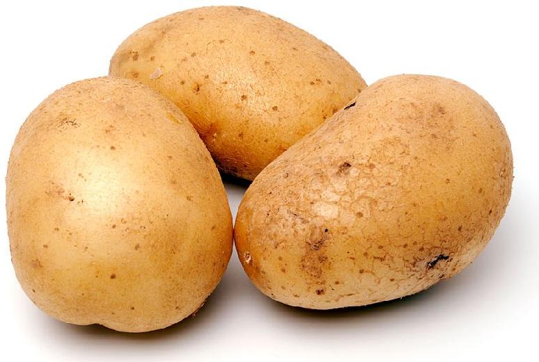 Common fresh potato, for Cooking, Home, Restaurant, Snacks, Feature : Early Maturing, Eco-Friendly
