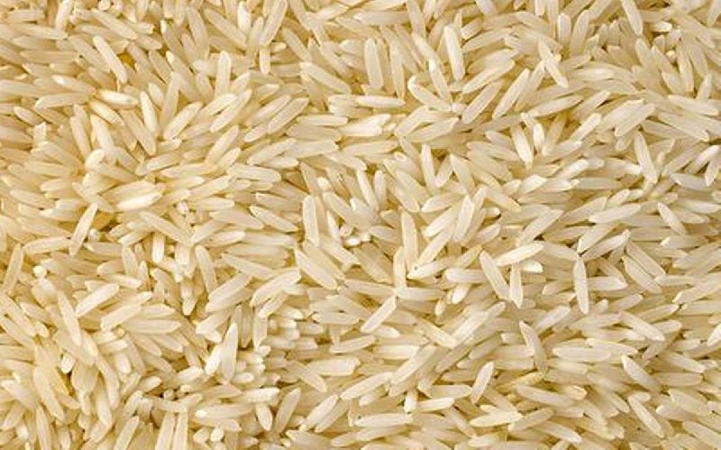 Common Hard basmati rice, Variety : Long Grain, Medium Grain