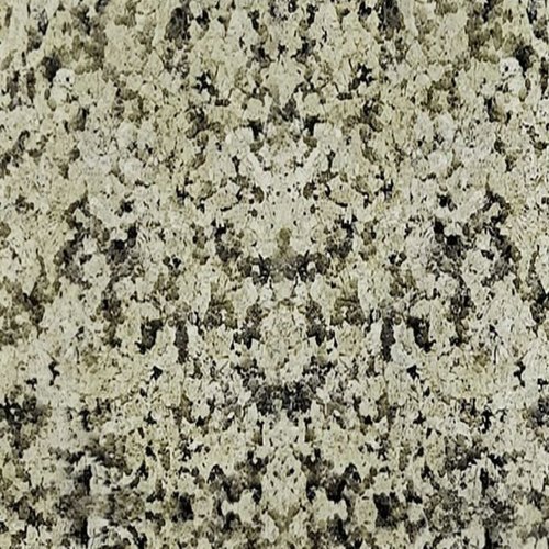 Royal Cream Granite Slab