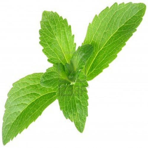Organic Stevia Leaves, for Medicine Use, Feature : Insect Free, Nice Aroma