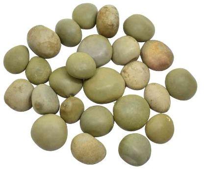 Karanjwa Seeds, for Medicinal, Form : Dried