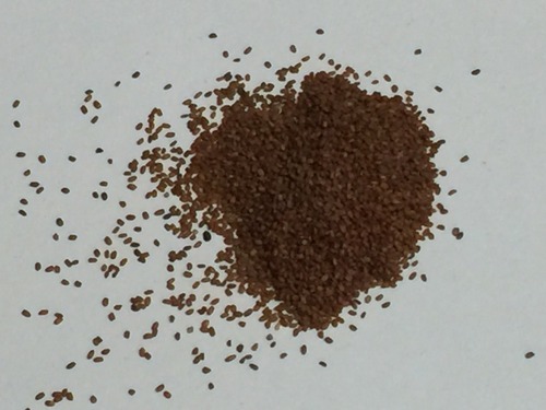 Khubkala Seeds, Packaging Type : PP Bag