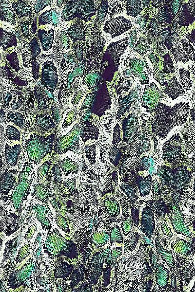 Green Snake Printed Fabric
