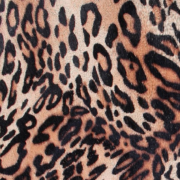 Leopard Skin Printed Fabric, for Garments, Packaging Type : Plastic Bag