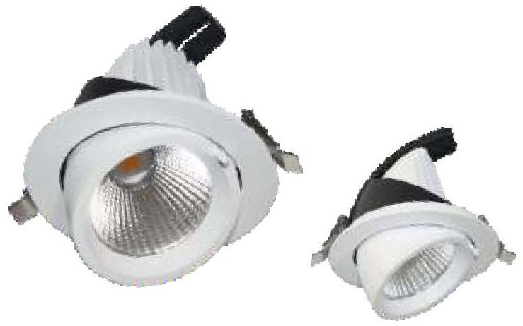 LZM LED Zoom Light