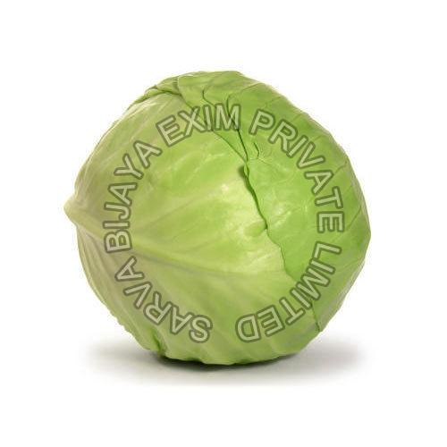 Fresh Cabbage, For Human Consumption, Cooking