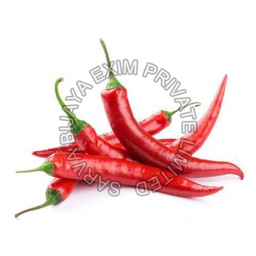 Fresh Red Chili, Packaging Size : 20 Kg