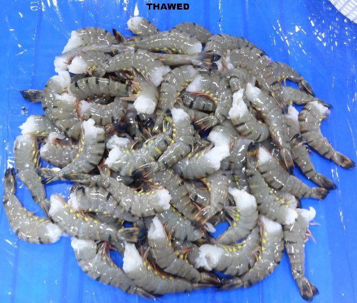 Frozen Black Tiger Shrimp, Packaging Type : PP Packets - ASHMIT SEAFOOD ...