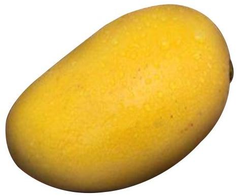 Neelam Mango, Color : Yellow