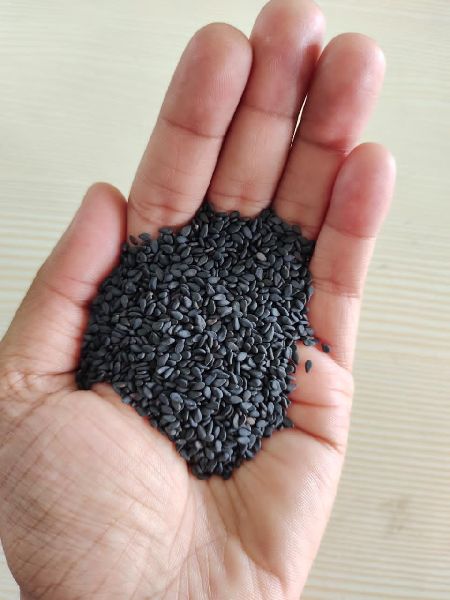 Natural Black Sesame Seeds, for Agricultural, Making Oil, Packaging Type : Pastic Packet