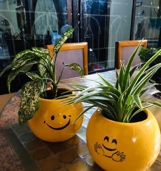 Round Ceramic Smile Ball Flower Pot, Color : Yellow