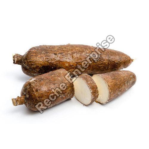 Fresh Arrowroot at Rs 80 / in South Garo Hills RECHE ENTERPRISE