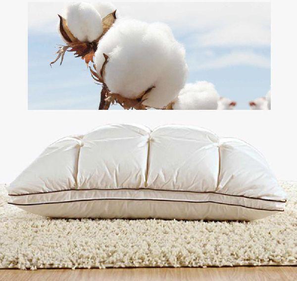 20 X 30 Inch Modern Pillow