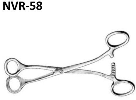 Stainless Steel Tongue Holding Forceps