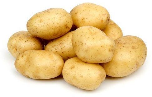 Natural fresh potato, Shelf Life : 3 Months
