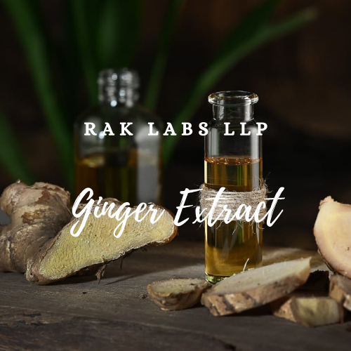 Ginger Oil, Packaging Size 50Kg RAK LABS LLP, Kozhikode, Kerala