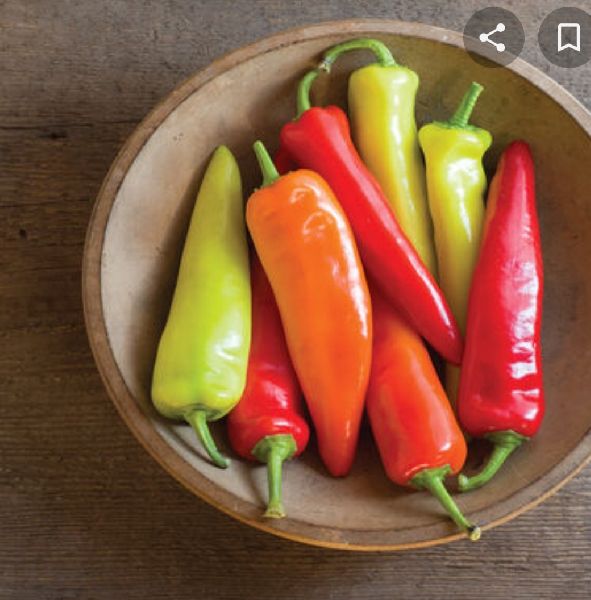 Natural Hot Peppers, for Food, Making Pickles, Taste : Spicy