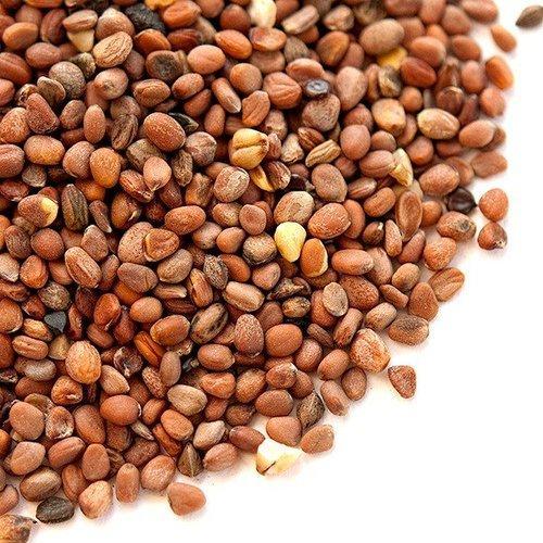 Natural Radish Seeds, Packaging Type : Vaccum Pack