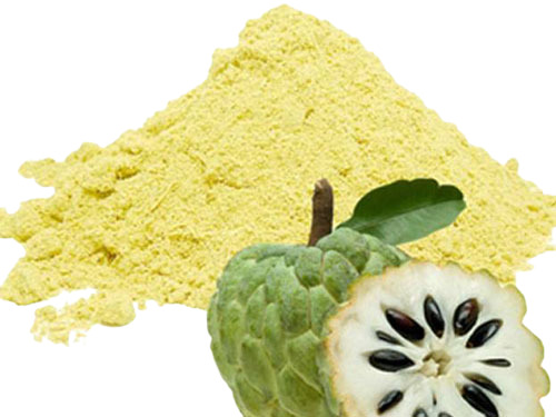 Custard Apple Powder