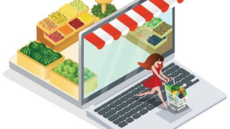 Online grocery delivery software