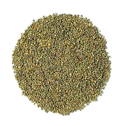 Fine Processed Organic Millet Seeds, for Cattle Feed, Packaging Type : Jute