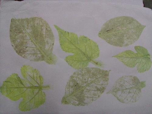 Leaf Impression Papers, Color : Multi color