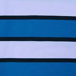 Auto Stripe Knitted Fabric