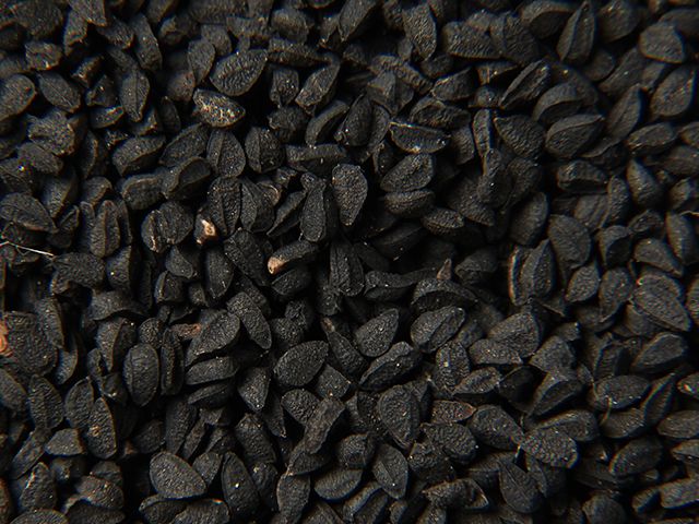 Cumin seeds, Color : Black