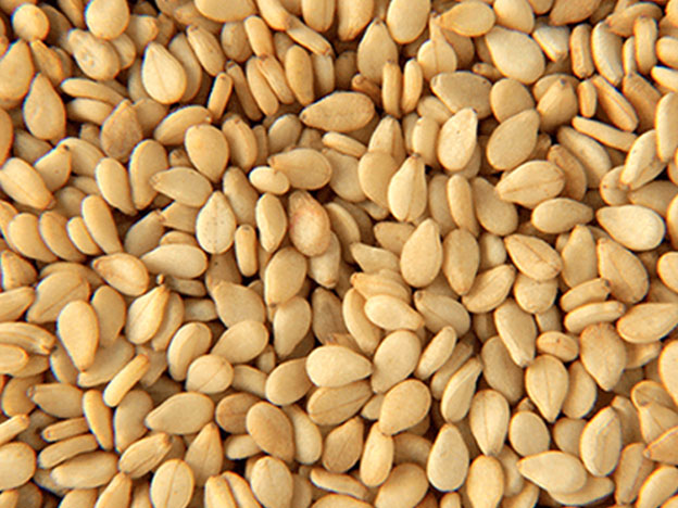 Sesame Seeds, Color : White / Beige